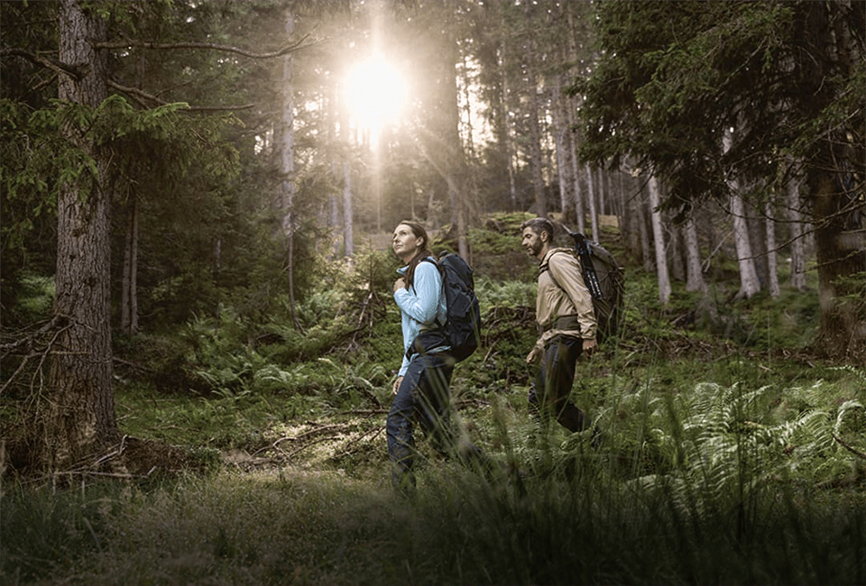 Eine Frau und ein Mann wandern im Wald.