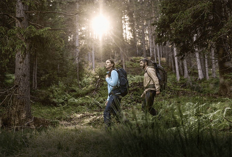 Eine Frau und ein Mann wandern im Wald.