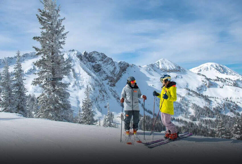 Alpin Ski