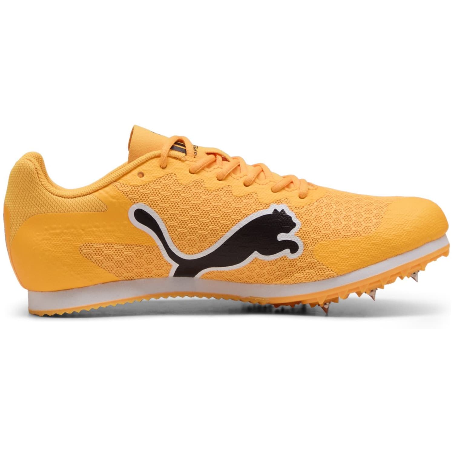 evoSPEED Star 9 Kinder Laufschuhe, orange, Gr. 33