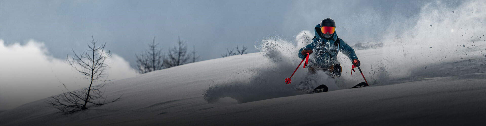 SKI EXPERTS