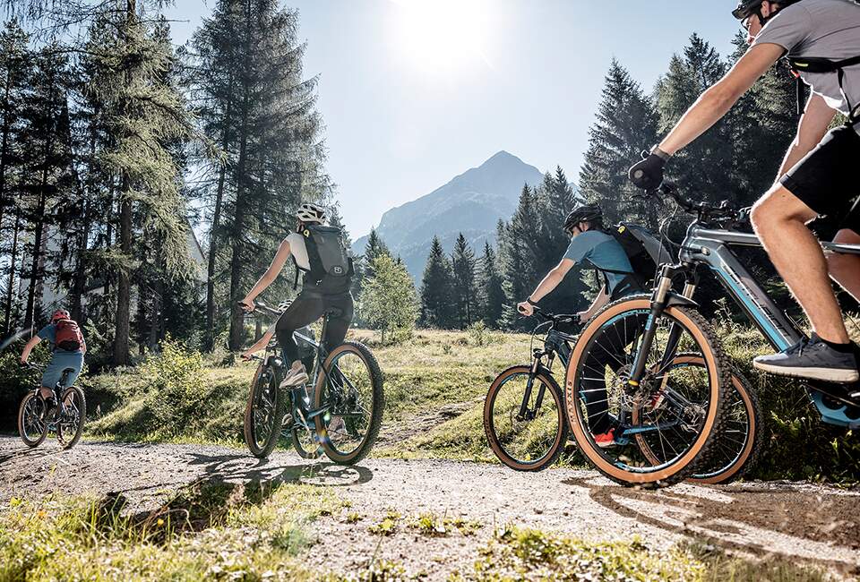 Menschen bei einer Fahrrad-Tour mit Bergen im Hintergrund